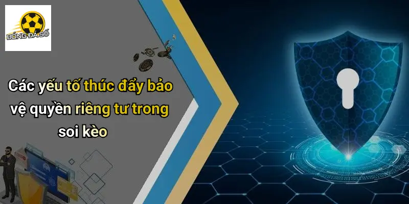 Quyền Riêng Tư 2 Các yếu tố thúc đẩy bảo vệ quyền riêng tư trong soi kèo