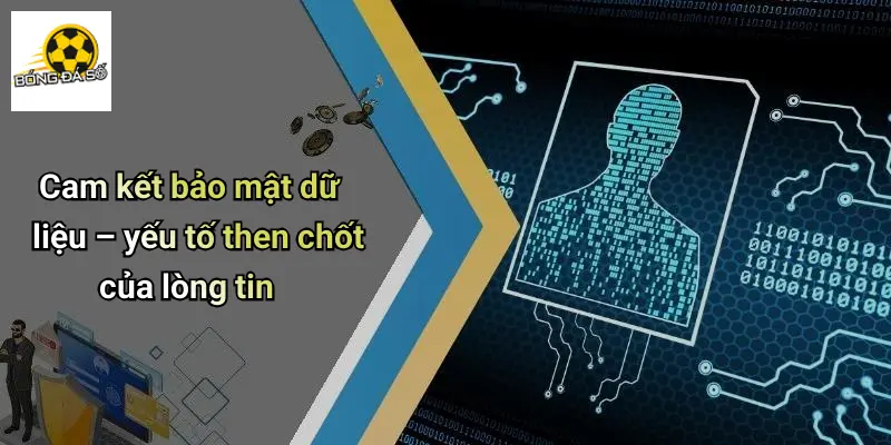 Chính Sách Bảo Mật 4 Cam kết bảo mật dữ liệu – yếu tố then chốt của lòng tin