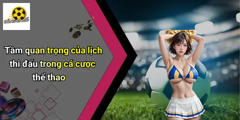 Tầm quan trọng của lịch thi đấu trong cá cược thể thao