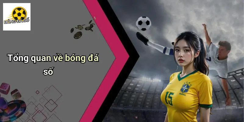 Bóng Đá Số