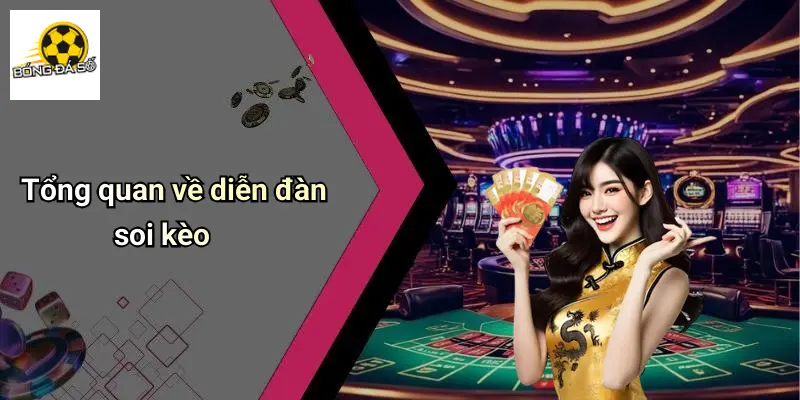 Giới Thiệu 1 Tổng quan về diễn đàn soi kèo