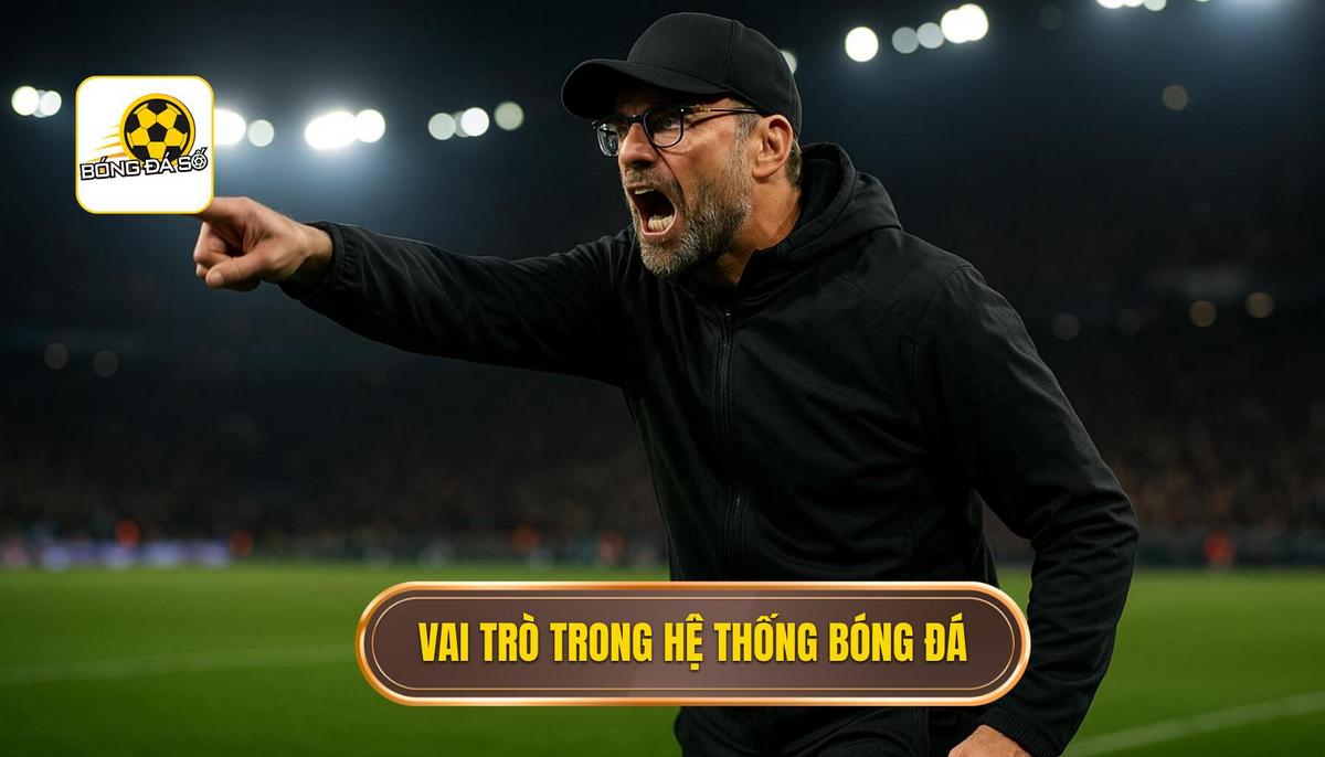 Chiến thuật luân chuyển bóng nhanh và sức mạnh hủy diệt trong bóng đá hiện đại 2 Vai trò của các vị trí trong hệ thống luân chuyển bóng