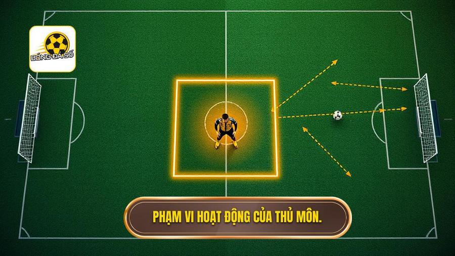 Thủ môn bắt bóng ngoài vòng cấm nhận thẻ gì? Phân tích chi tiết luật bóng đá 1 Hiểu đúng về phạm vi hoạt động của thủ môn