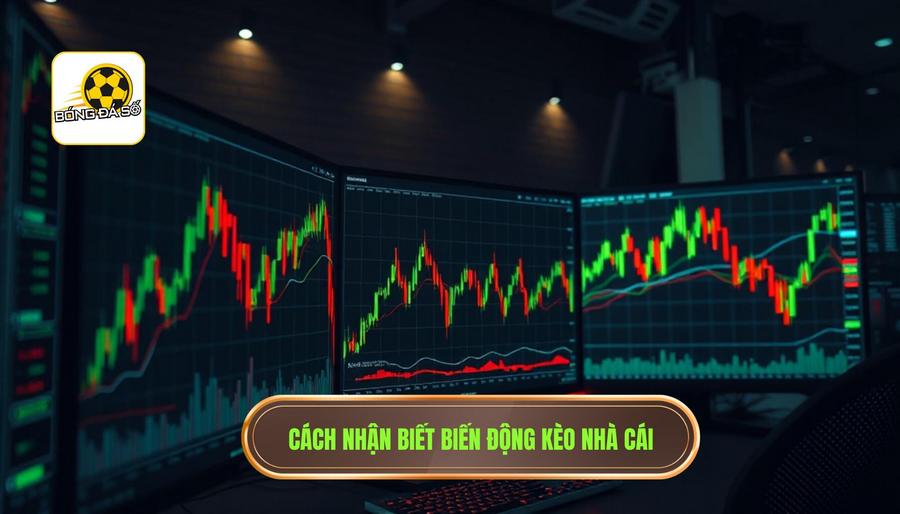 Dấu hiệu trận đấu dễ xuất hiện bất ngờ: Cẩm nang nhận diện "cạm bẫy" nhà cái 2 2. Cách nhận biết biến động kèo nhà cái