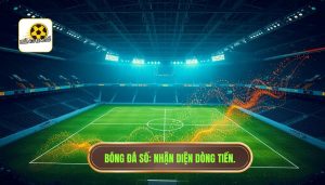 Cách nhận biết dòng tiền đổ vào cửa nào: Bí quyết soi kèo như chuyên gia